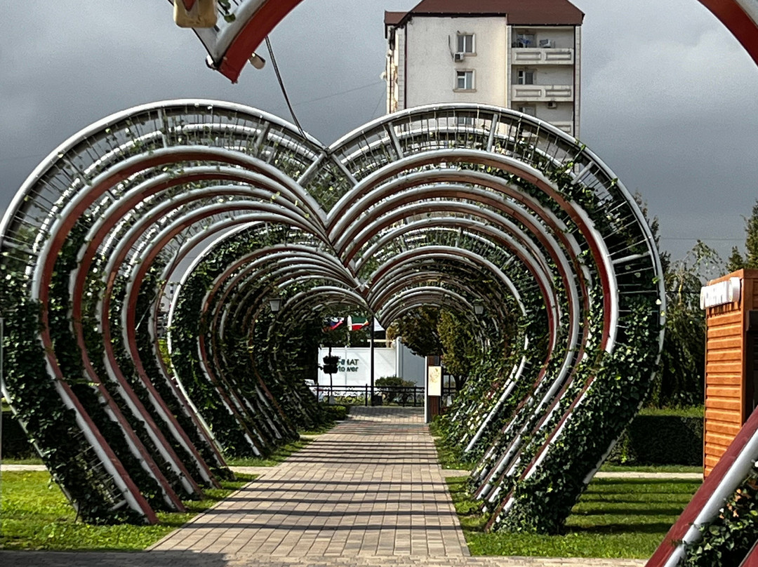 The Flower Park景点图片