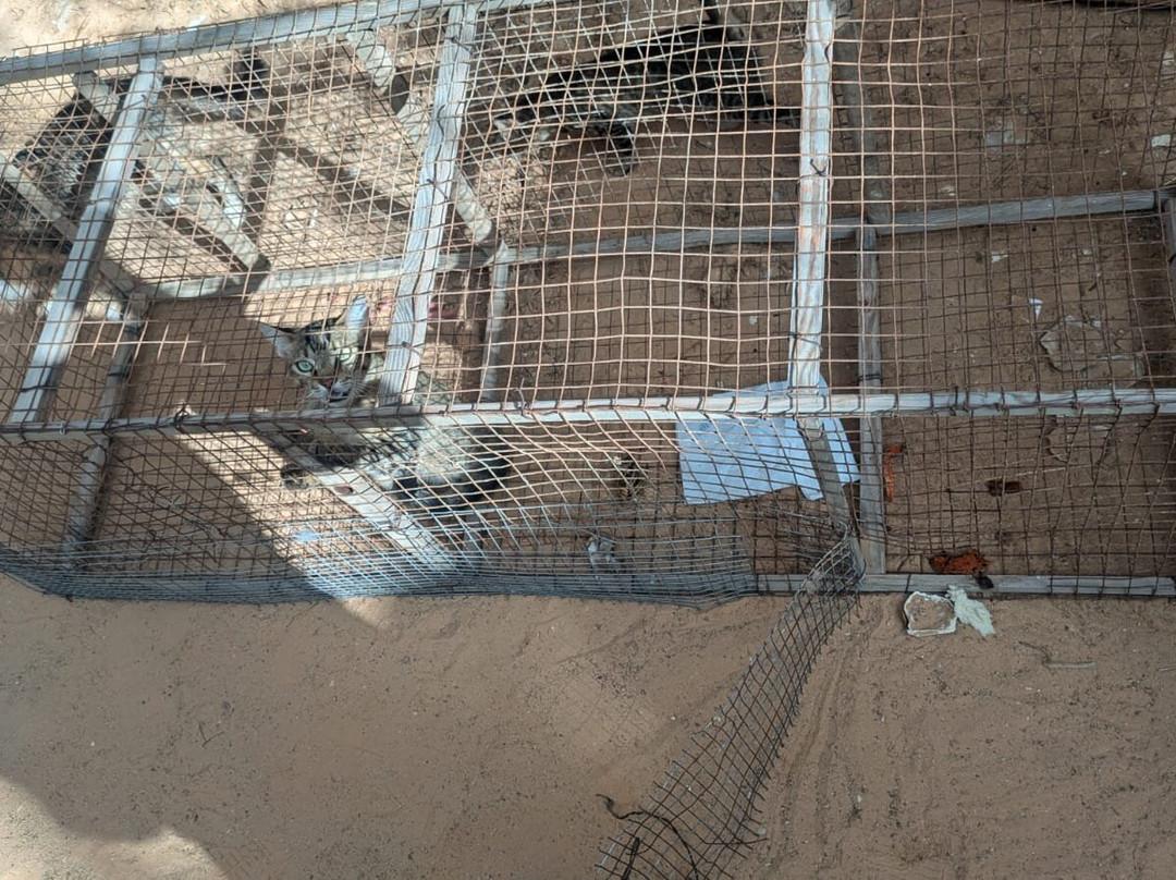 Café Restaurant Coucher De Soleil