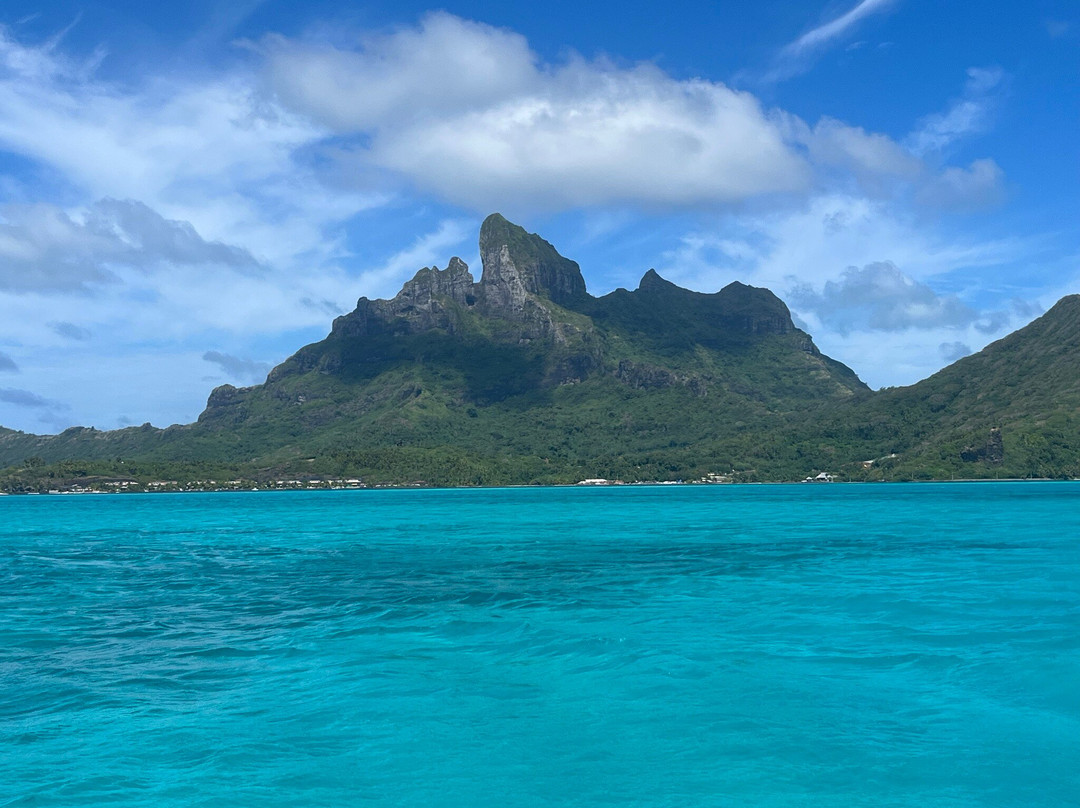 Coral Gardens-波拉波拉岛必去景点