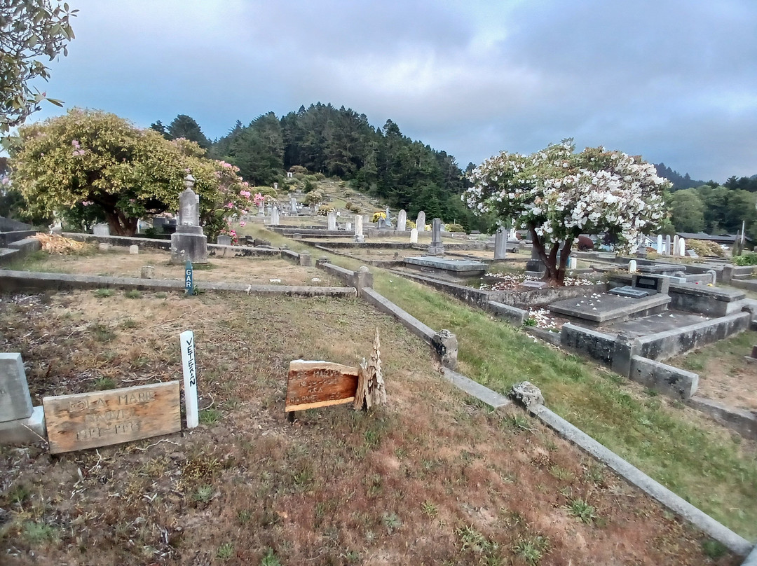 Ferndale Historic Cemetery景点图片