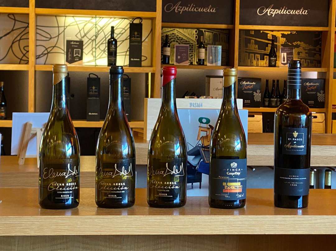 Bodegas Campo Viejo-洛格罗尼奥必去景点