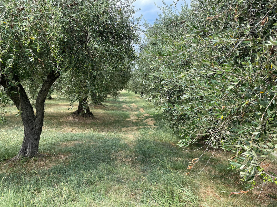 Tenuta La Cà-巴尔多利诺必去景点