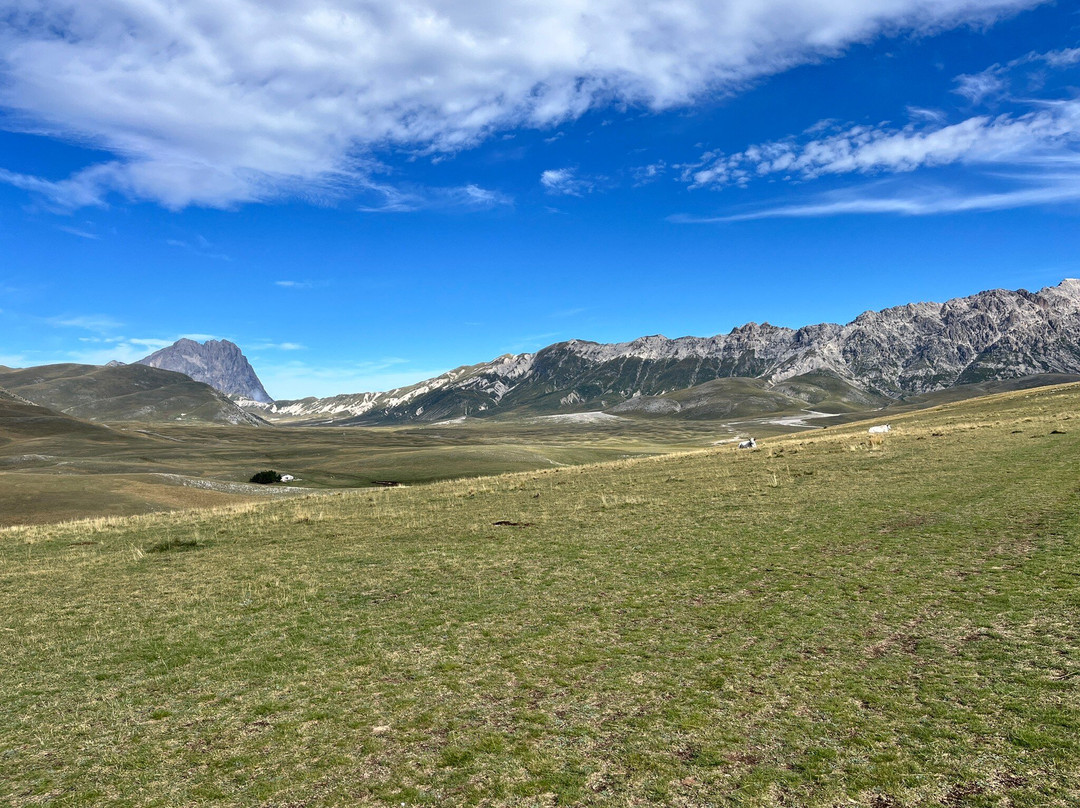 Dapaura Gran Sasso excursions景点图片