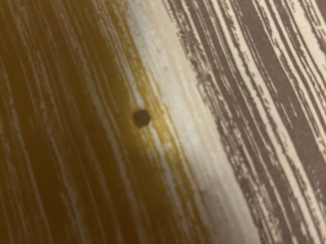 Country Inn & Suites by Radisson, Jackson, TN主图