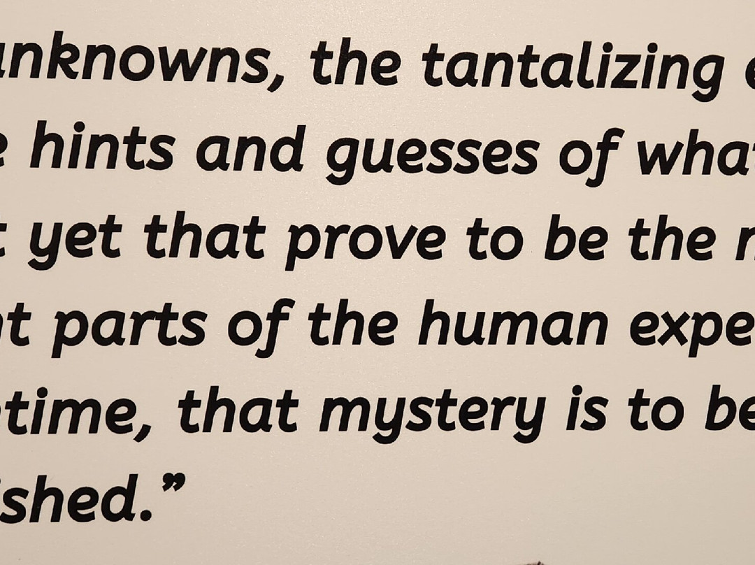 The Kentucky Museum-鲍灵格林必去景点