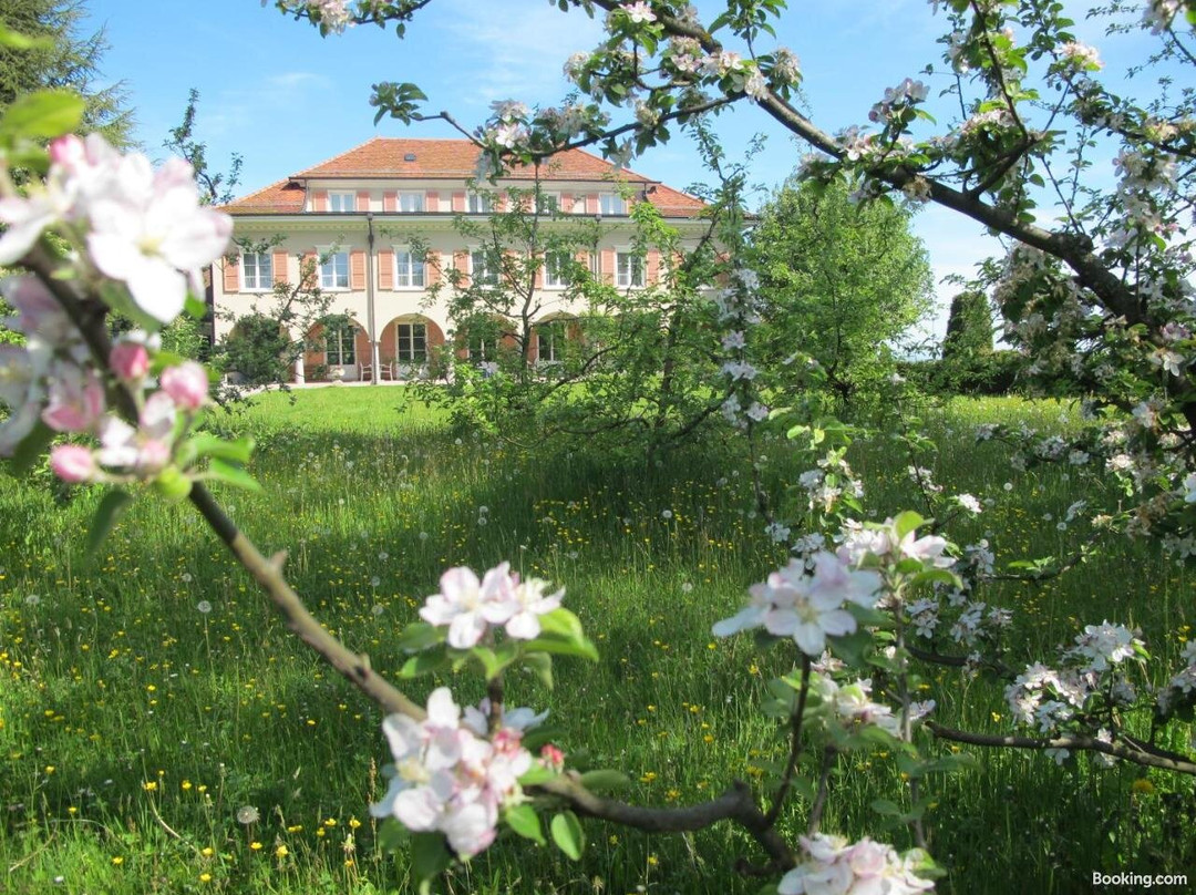 Bildungszentrum Burgbühl主图