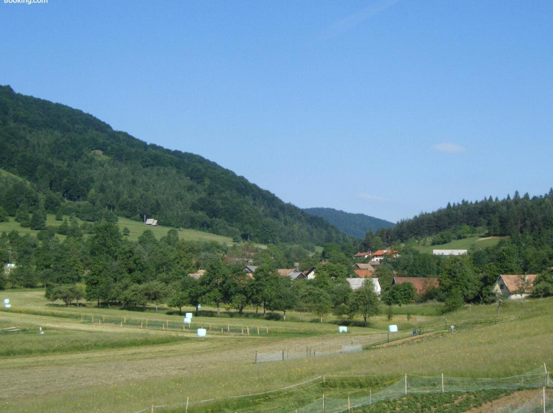 Guest House Kmetija