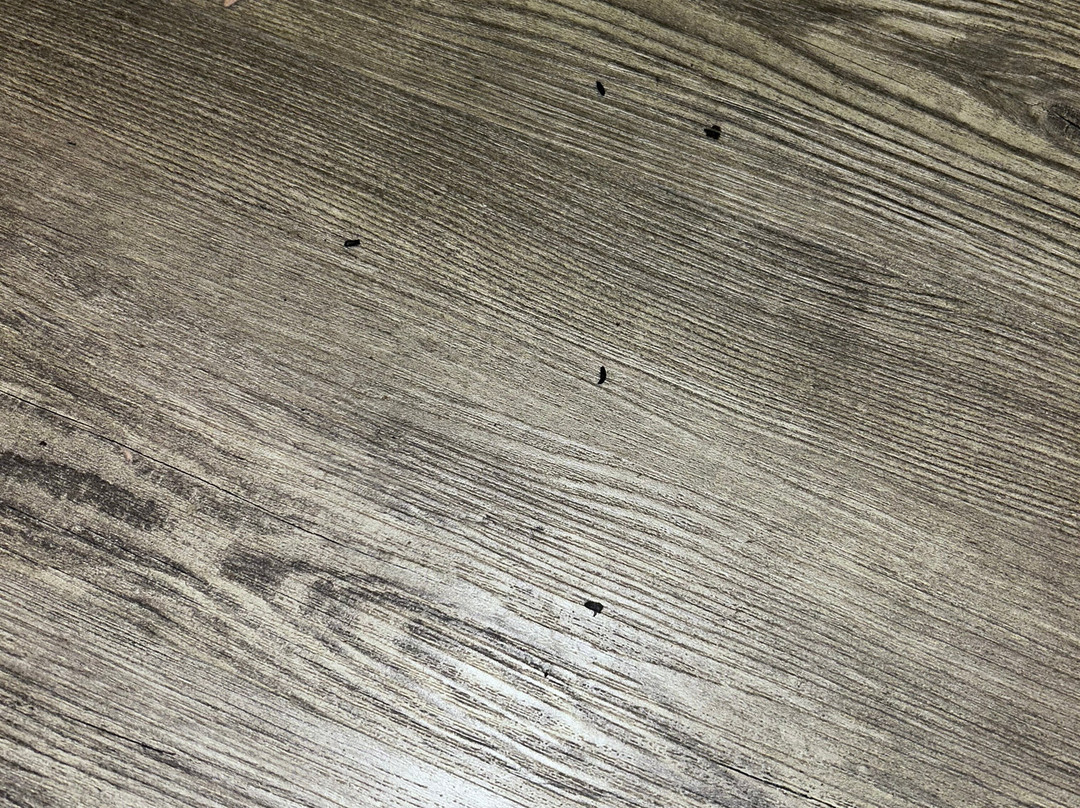 庄园汽车旅馆主图