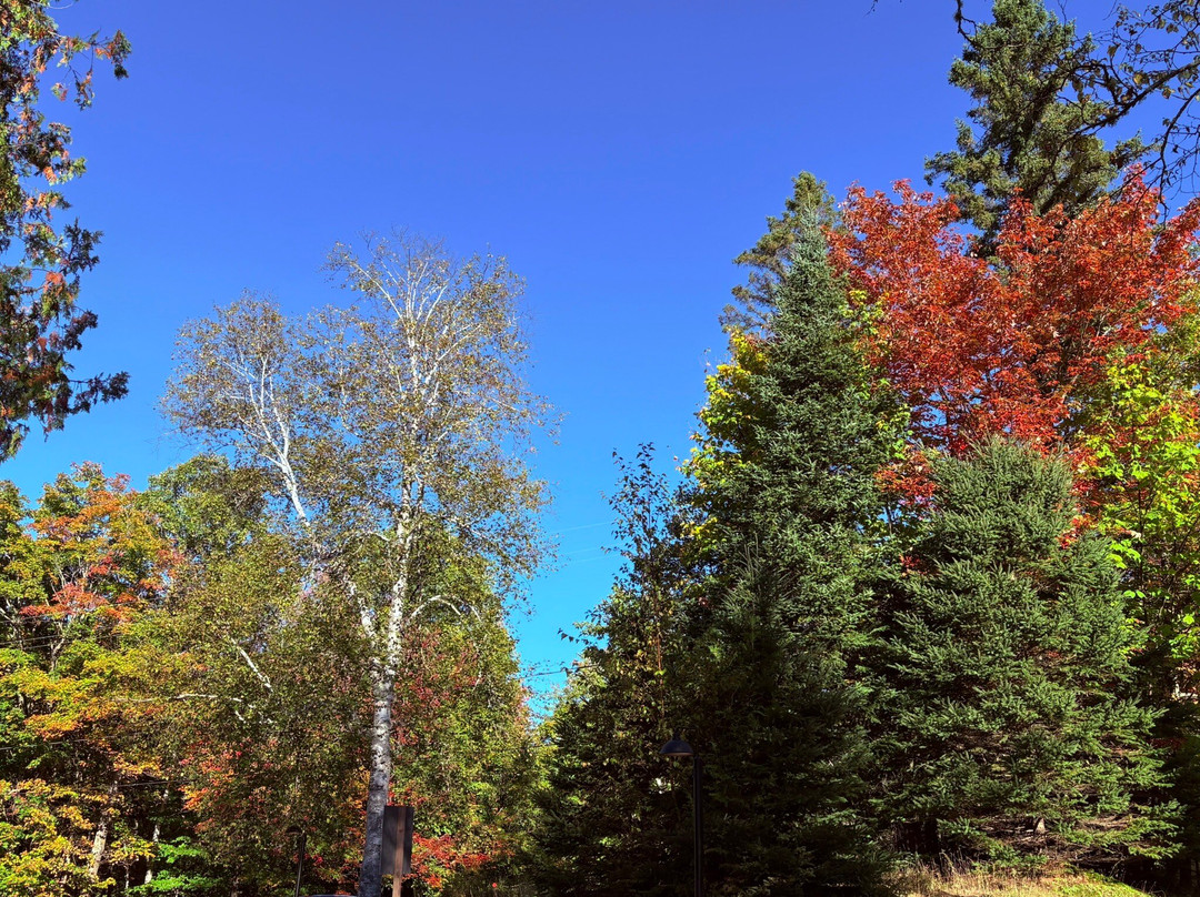 Hôtel Far Hills主图