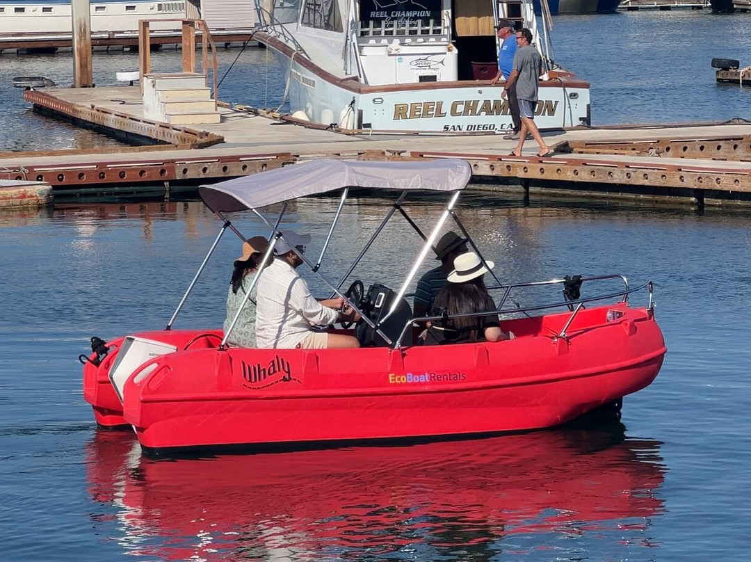 Eco Boat Rentals景点图片