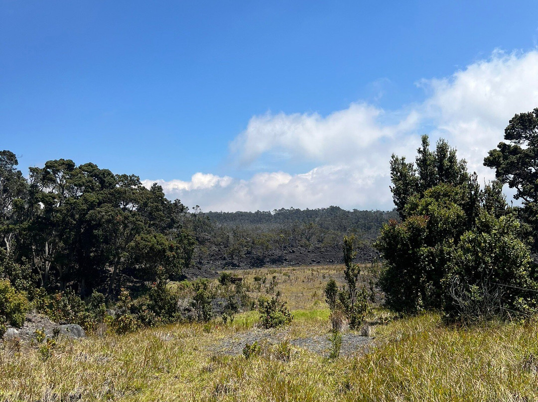 Hawai'i Volcanoes National Park Kahuku Unit-纳勒胡必去景点