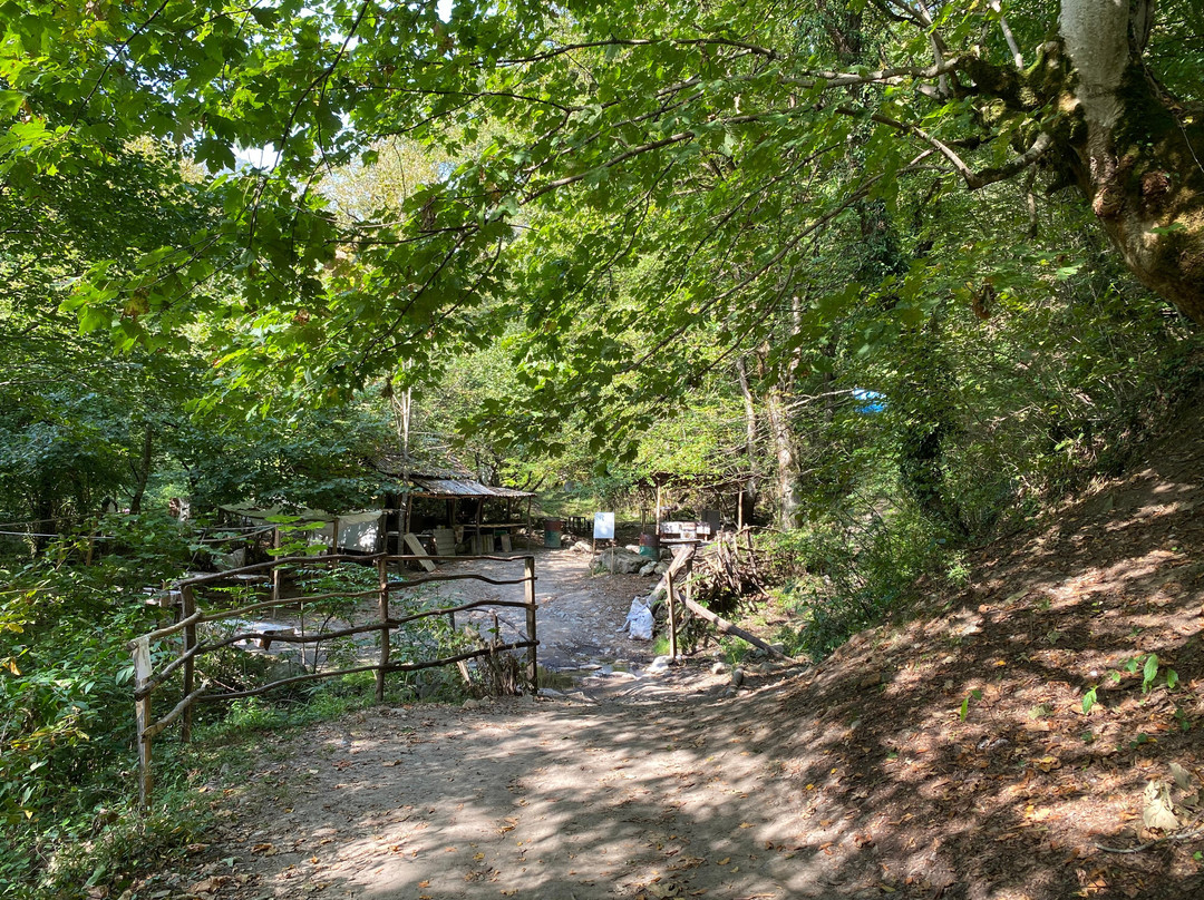 Mamirli Waterfall-Qakh必去景点