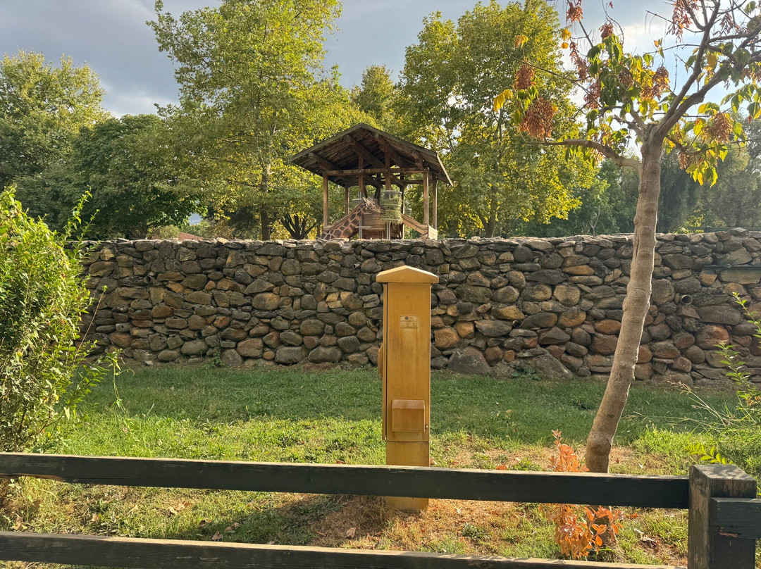 Bursa Zoo-布尔萨必去景点