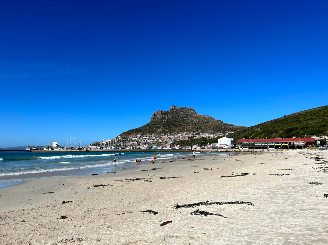 Hout Bay Beach-木湾必去景点