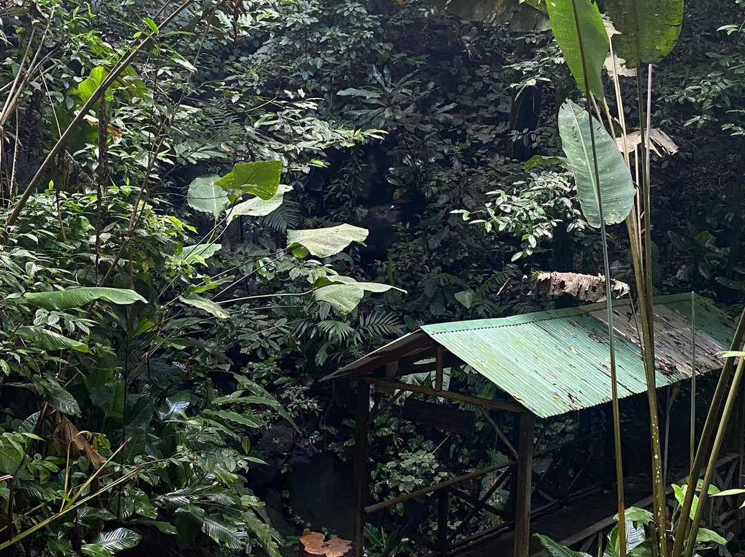 Nauyaca Waterfall Nature Park景点图片