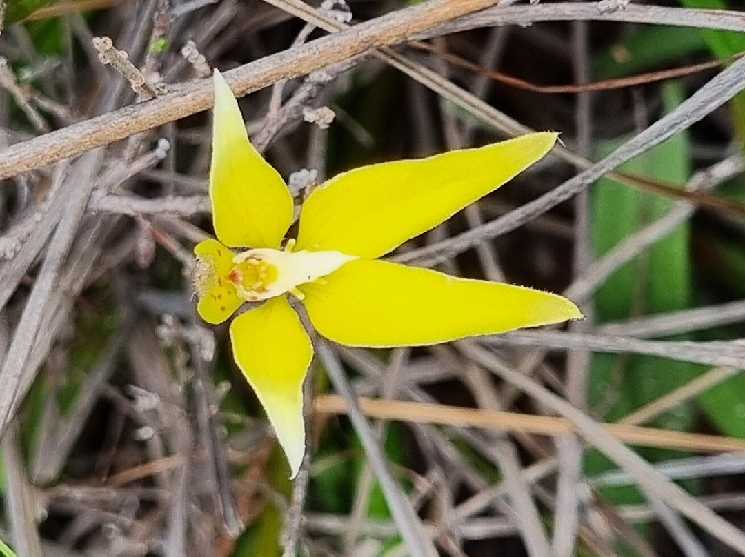Lesueur National Park-朱里恩湾必去景点