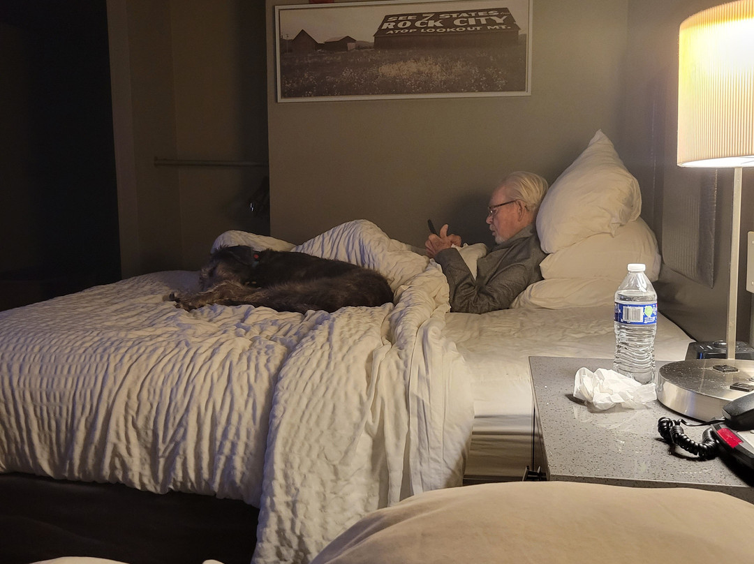 Spark by Hilton Chattanooga Downtown