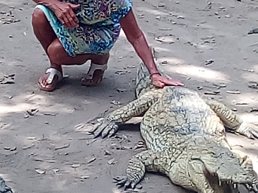 Kachikally Crocodile Pool景点图片