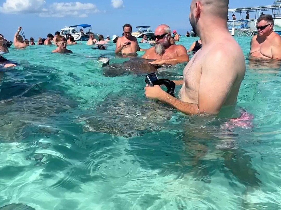 Stingray Sailing-大开曼岛必去景点