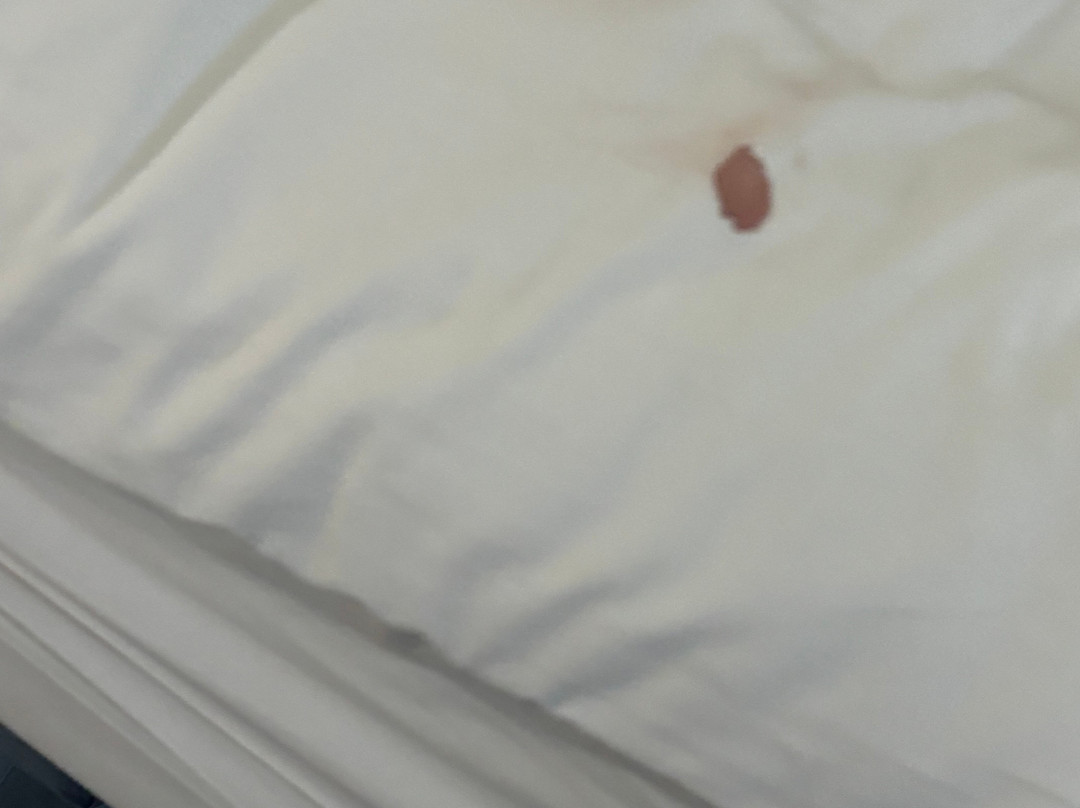 Wingate by Wyndham Savannah Gateway主图