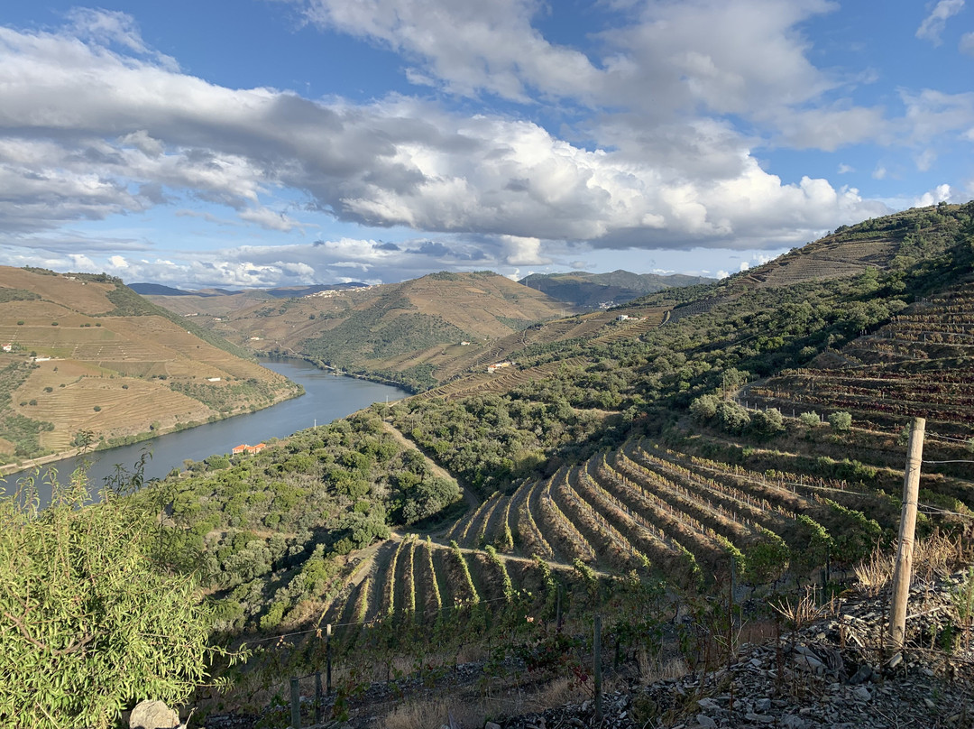 Douro Autêntico景点图片