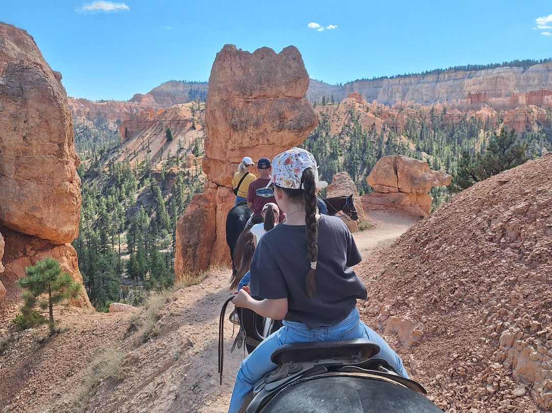 Canyon Trail Rides景点图片