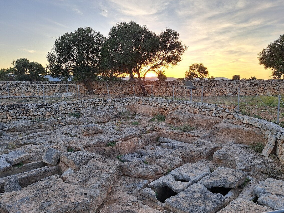 Museo Nazionale Archeologico di Egnazia ‘Giuseppe Andreassi'景点图片