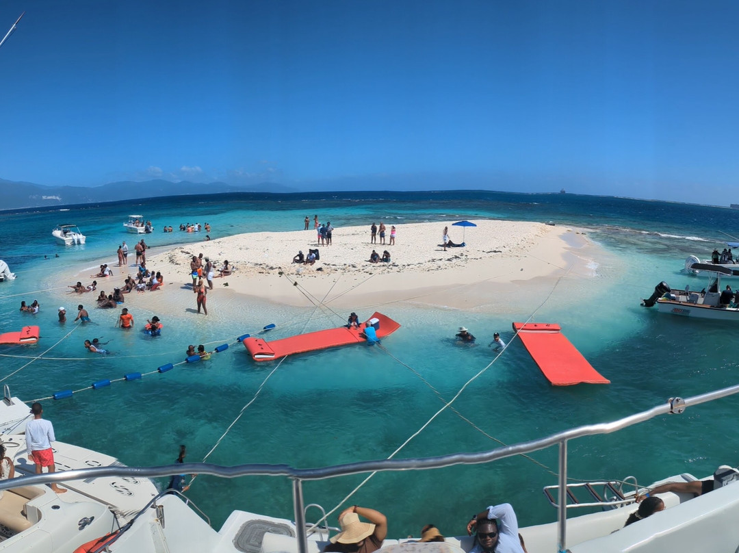 Loose Cannon Boat Charters and Tours-金斯敦必去景点