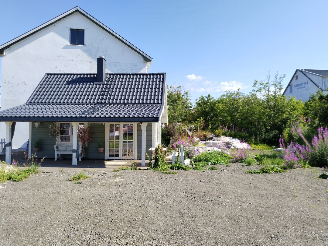 Henningsvær Port Viewpoint景点图片