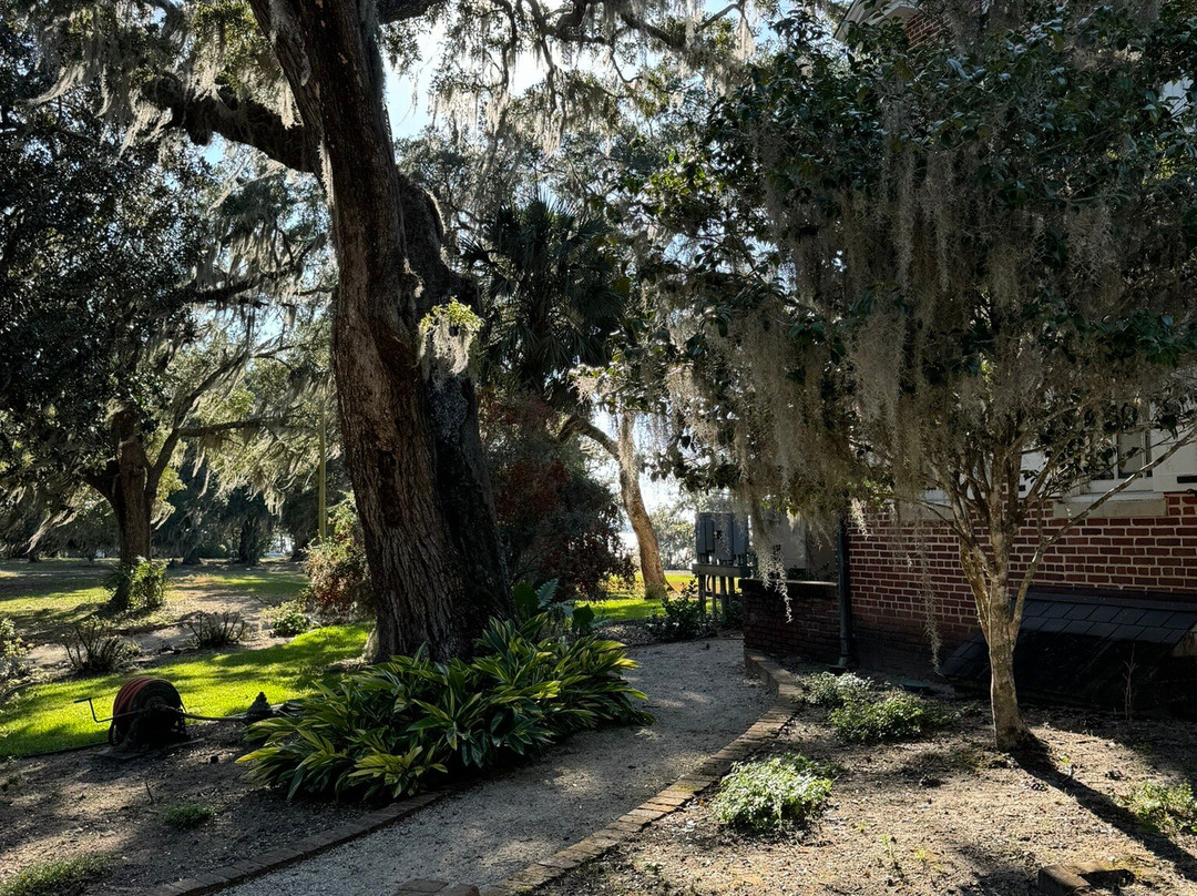 Hobcaw Barony景点图片