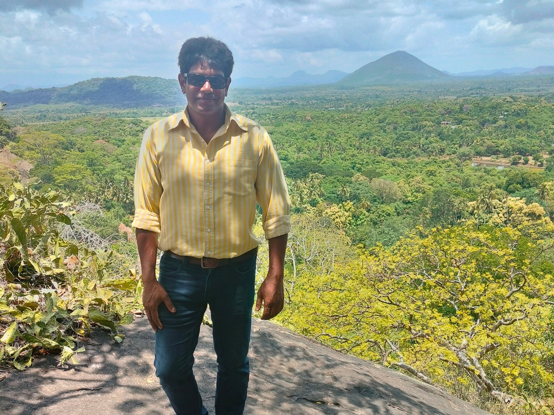 Greenway Tours With Dilip-奴娃拉伊利雅必去景点