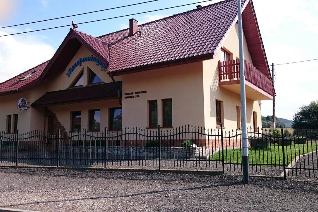 Niezapominajka主图