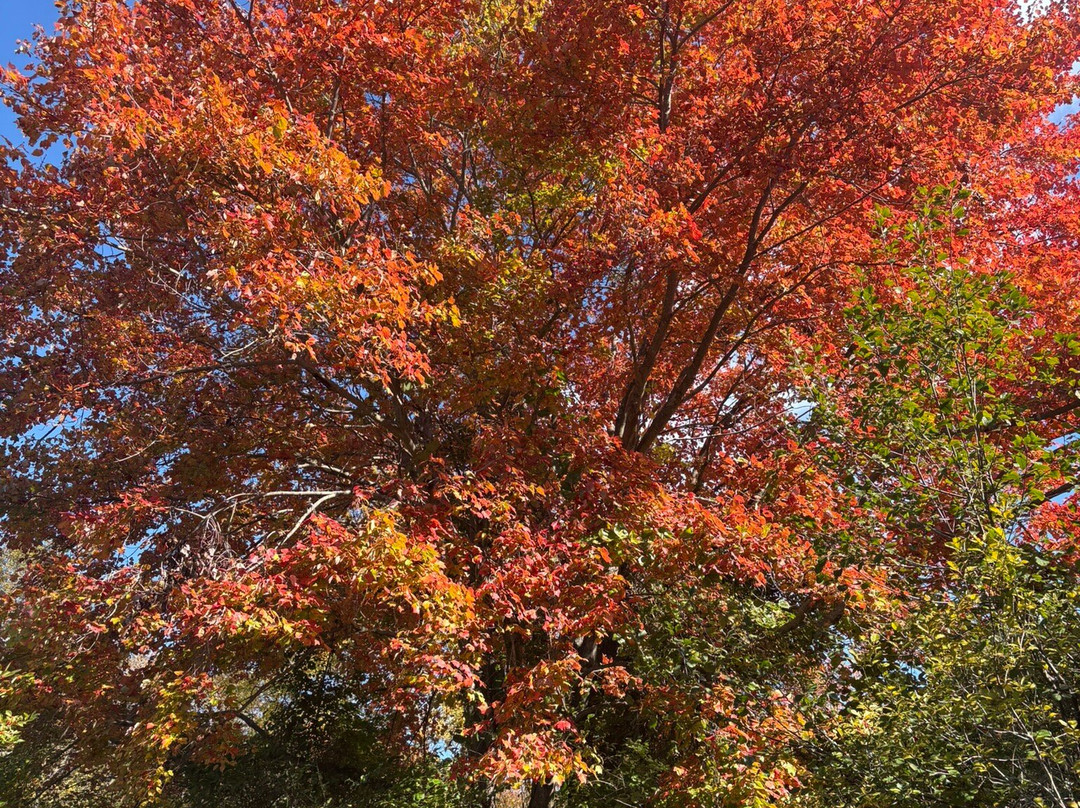 Parker River National Wildlife Refuge-纽伯里波特必去景点