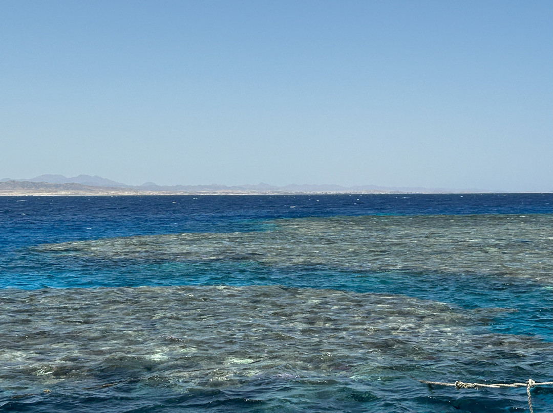 Dolphin House - Shaab Samadai-马萨阿拉姆必去景点