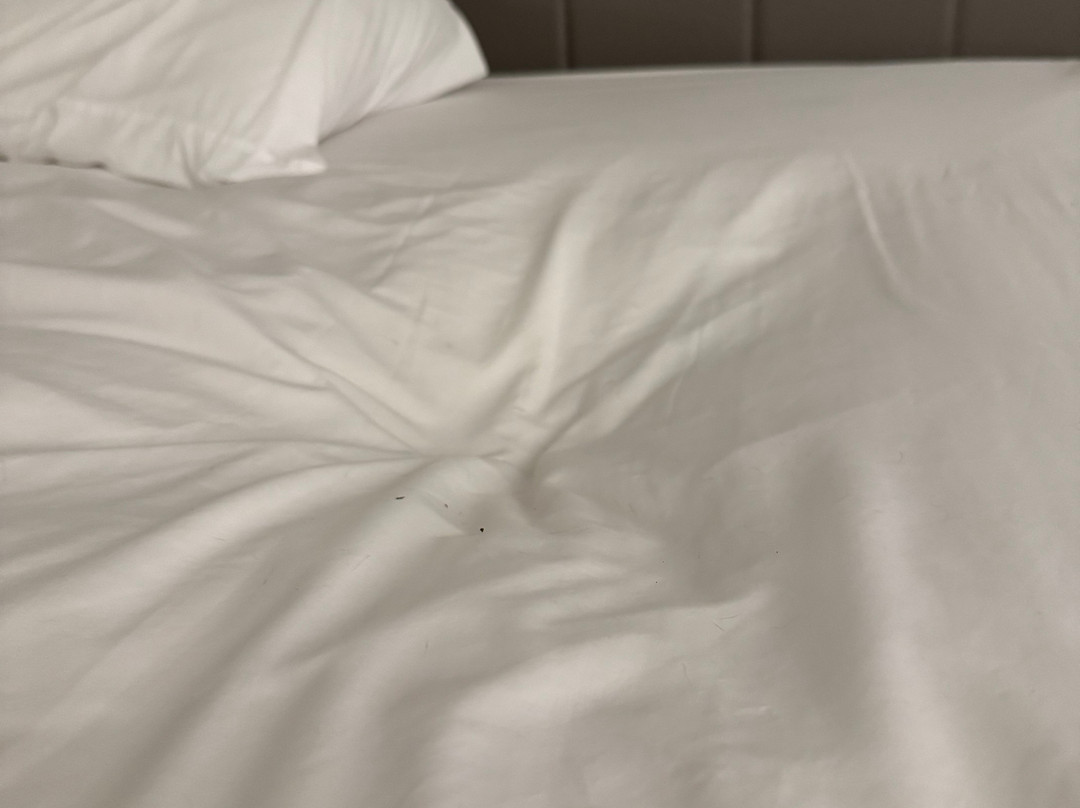 Holiday Inn Knoxville N - Merchant Drive By IHG主图