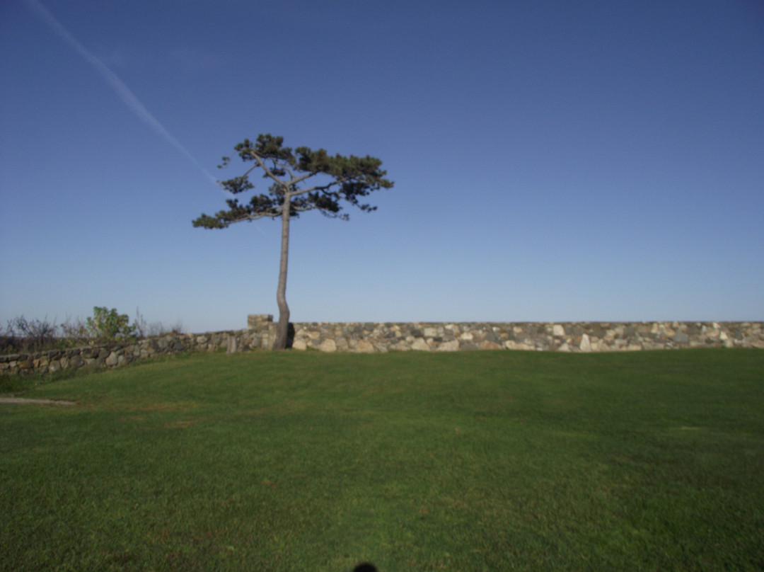 Odiorne Point State Park景点图片