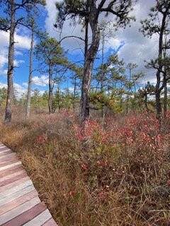 Saco Heath Preserve-萨考必去景点