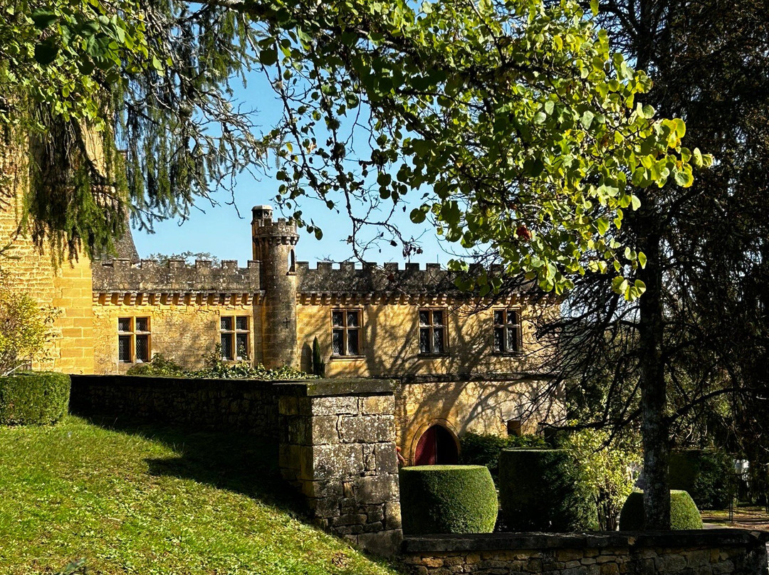 Chateau de Puymartin景点图片