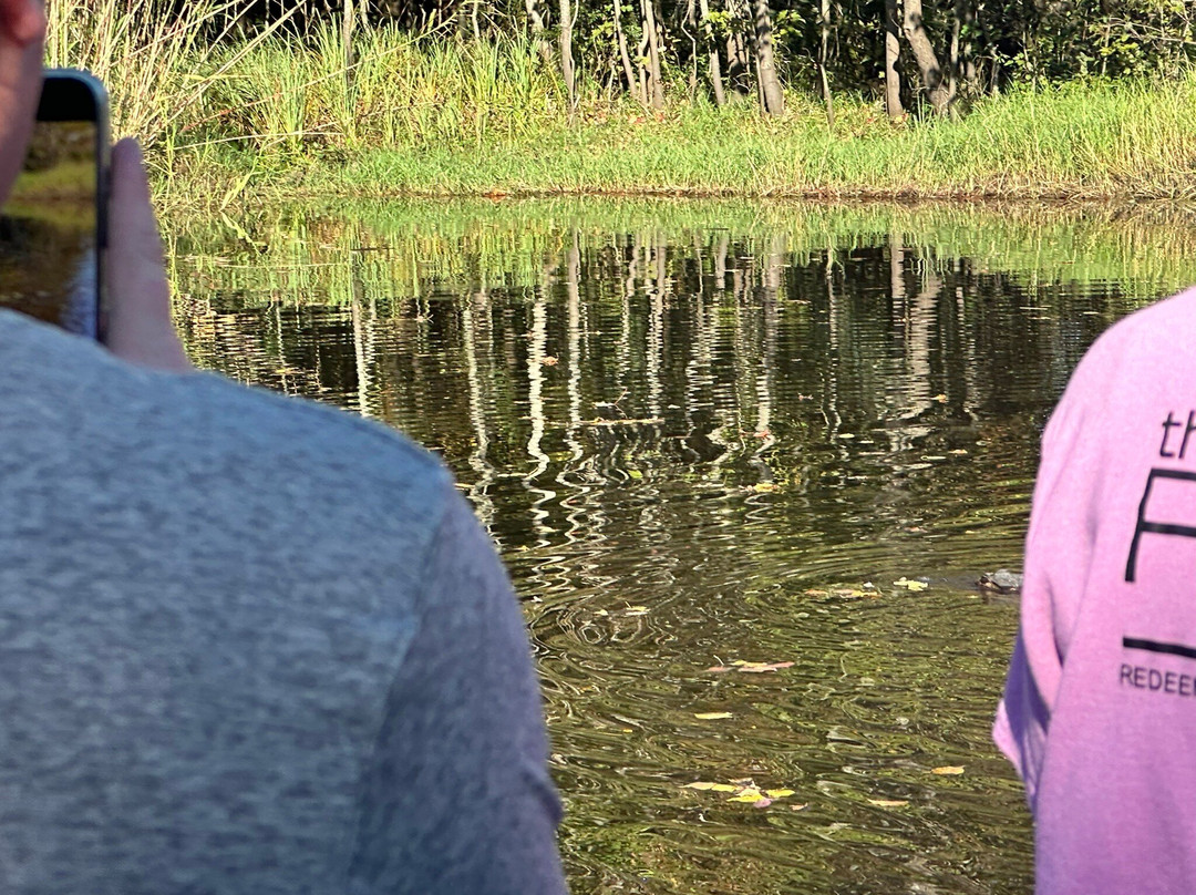 Gulf Coast Gator Ranch & Airboat Swamp Tours景点图片