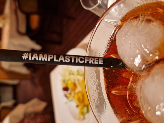 Janssen's Hotel主图