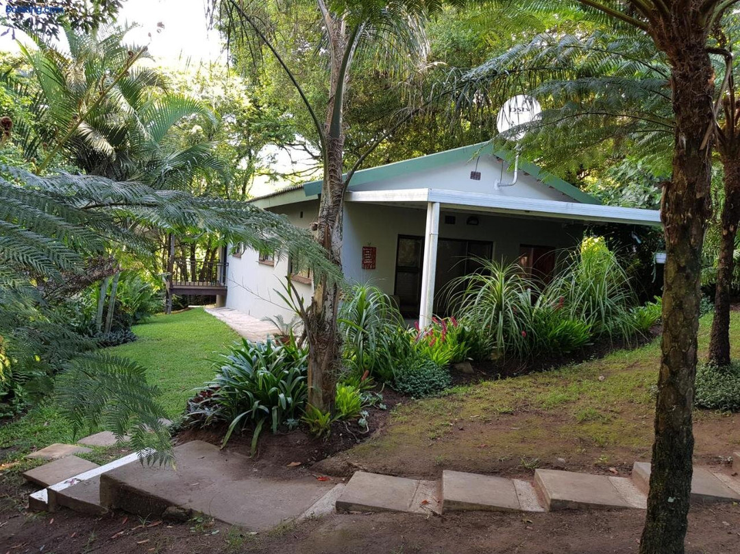 African Dwarf Kingfisher Guesthouse