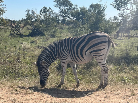 Thula Seats-白河必去景点