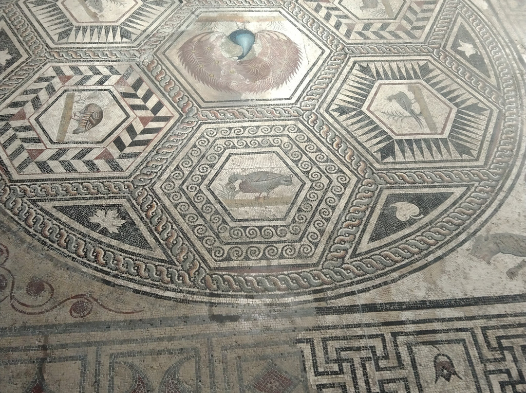 Vaison la Romaine景点图片