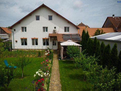 Cristian酒店住宿-Pensiunea Ileana