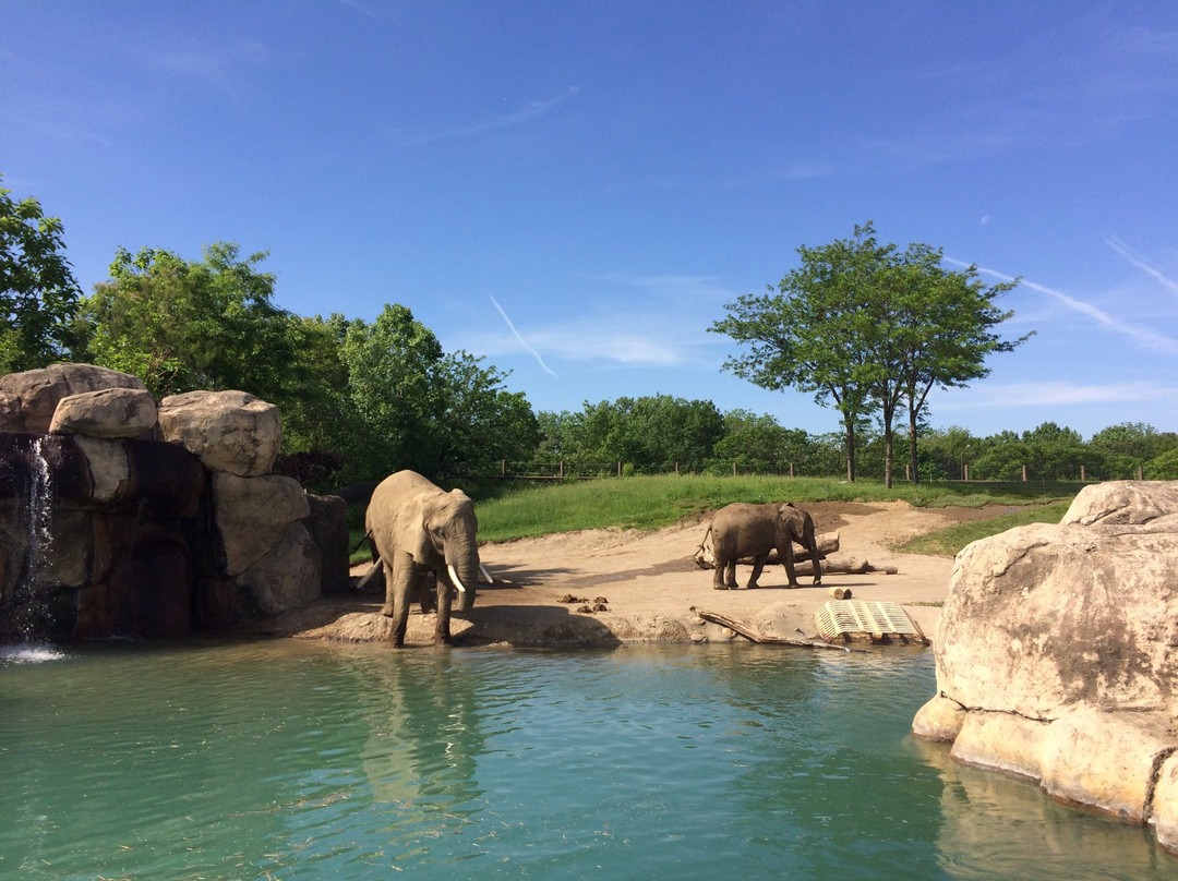 Indianapolis Zoo-印第安纳波利斯必去景点