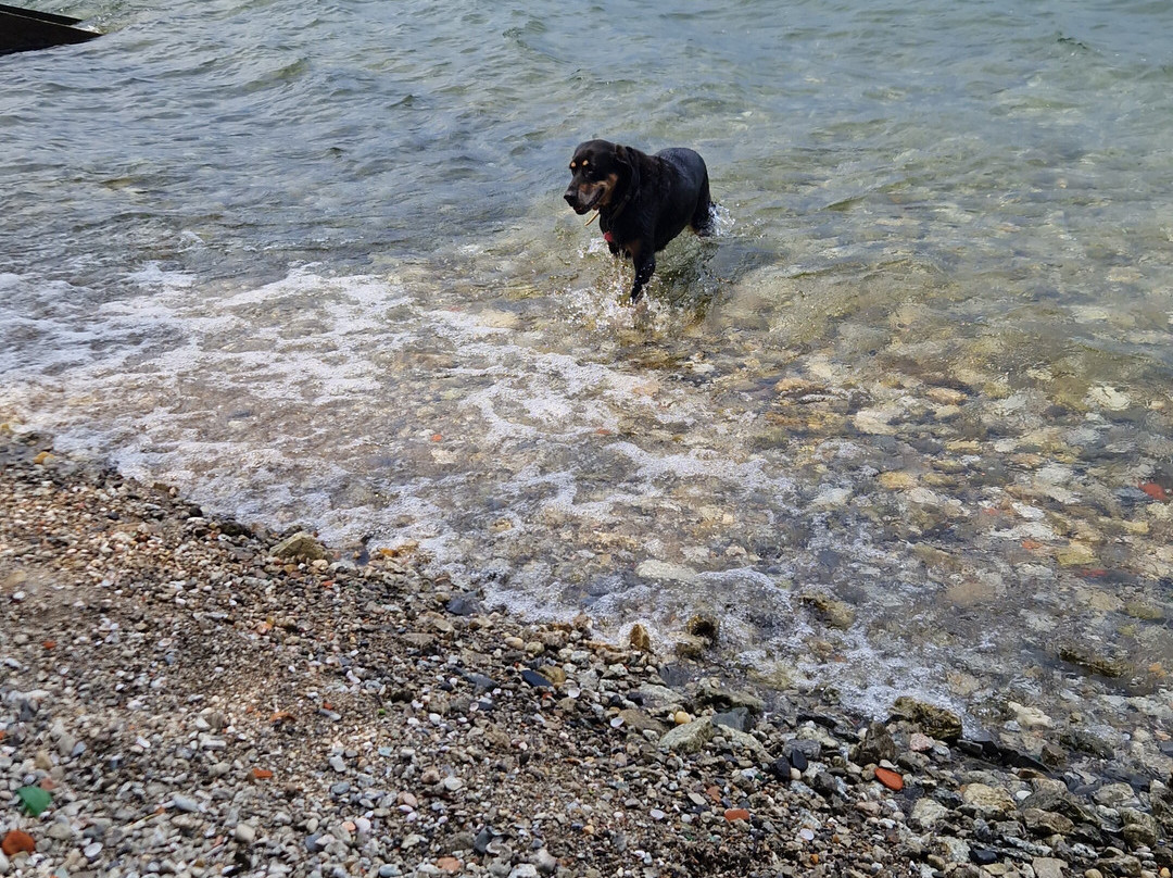Spiaggia del Fortino景点图片