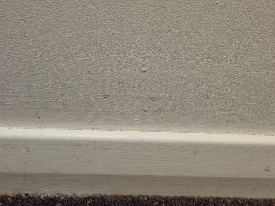 Premier Inn Edinburgh A7 (dalkeith) Hotel主图