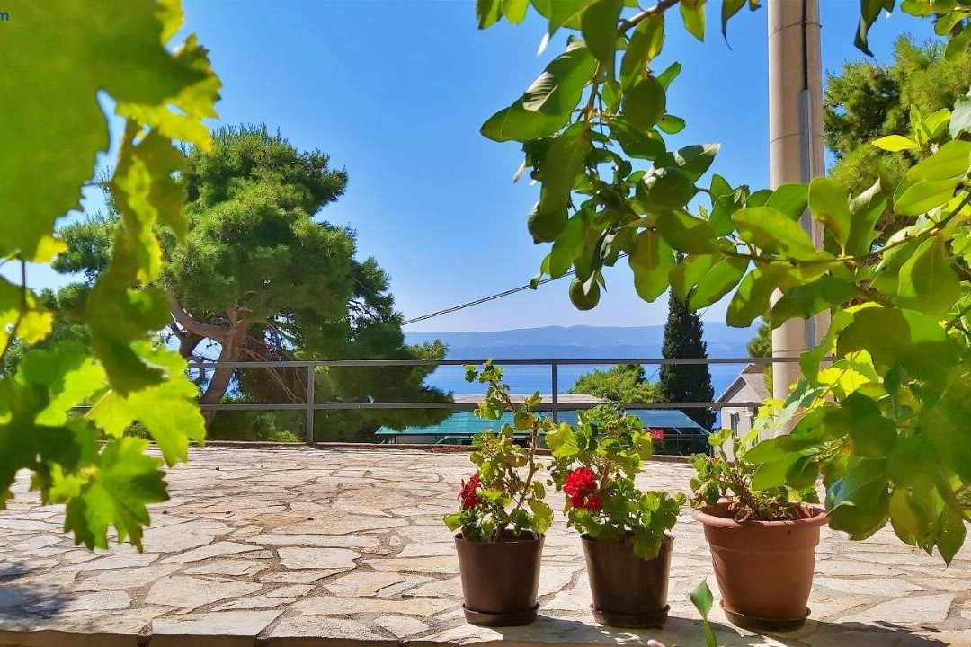 Apartments Gajo