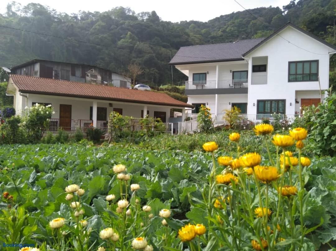 Ng Family Homestay