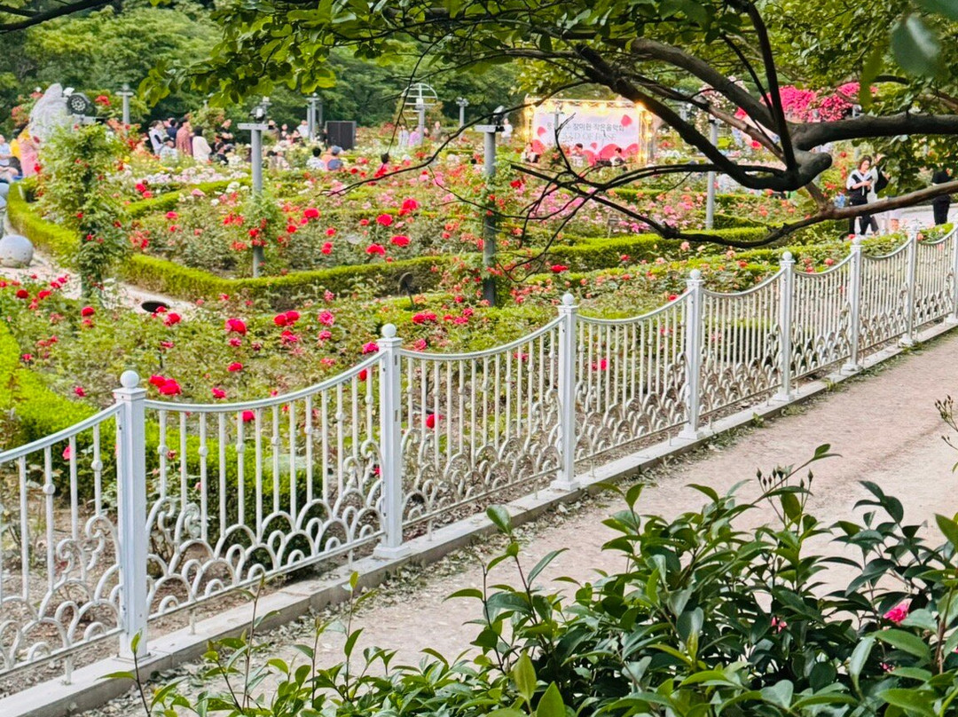 Pungam Reservoir-光州必去景点